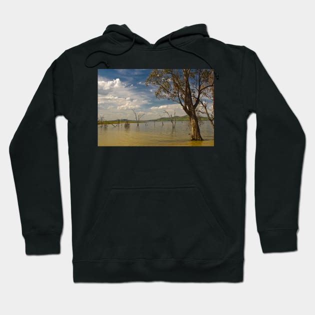 Lake Hume 1 Hoodie by fotoWerner